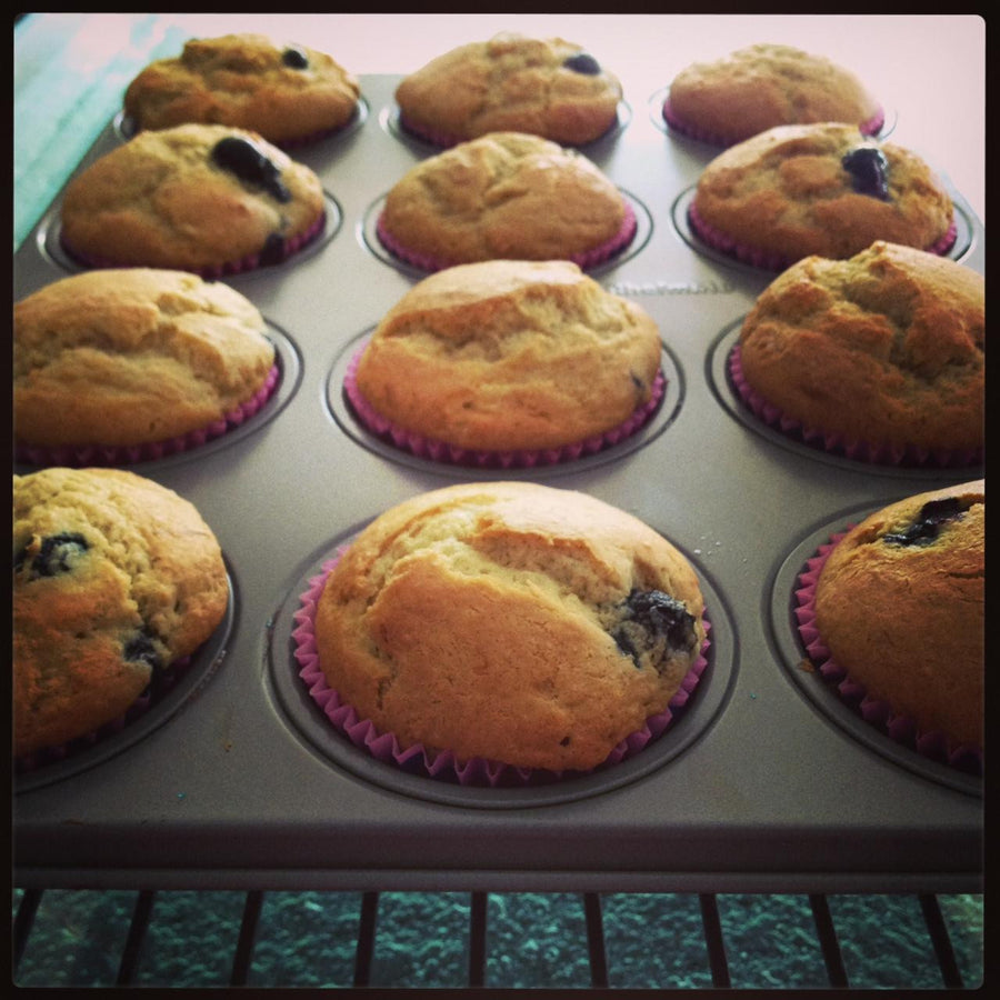 Gluten free blueberry muffins made with gfJules gluten free muffin mix