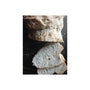 Slices of Gluten free baguettes made from gfJules gluten free pizza crust mix