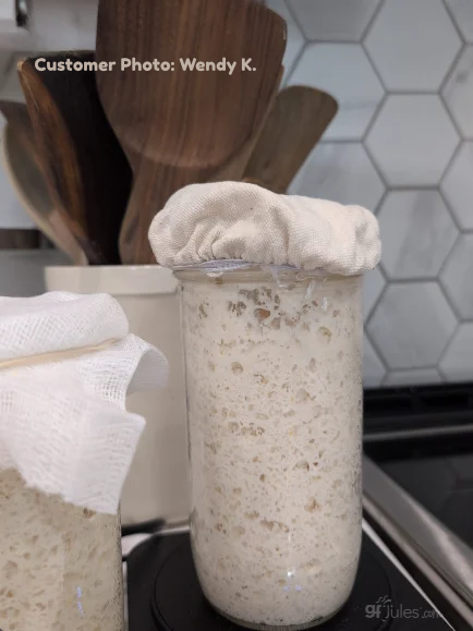 Gluten-Free Sourdough & Baking Flour | gfJules