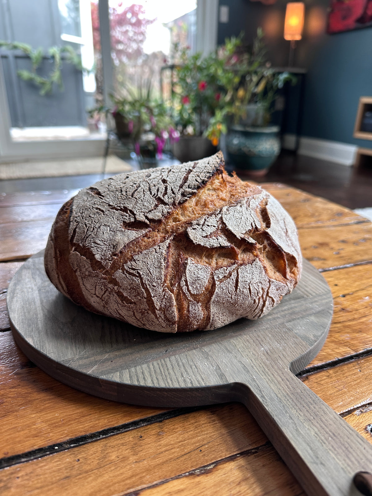 Gluten-Free Sourdough & Baking Flour | gfJules