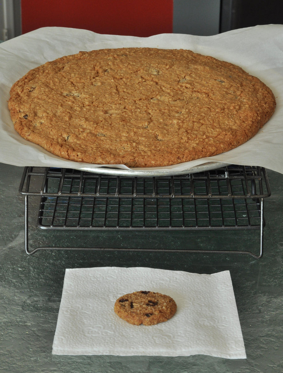 Supersized gluten free cookie made using gfJules gluten free cookie mix