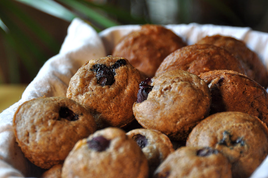 Gluten free blueberry muffins made using gfJules gluten free muffin mix