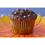 Gluten free chocolate muffins made using gfJules gluten free muffin mix