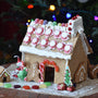 Gingerbread House Cutter Set